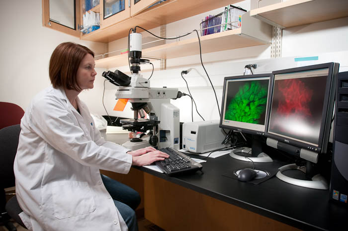 Dr. Yellowley taking immunofluorescent images